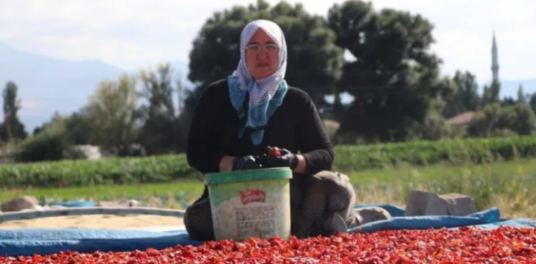 Coğrafi işaretli Cırgalan biberinde kurutma mesaisi başladı