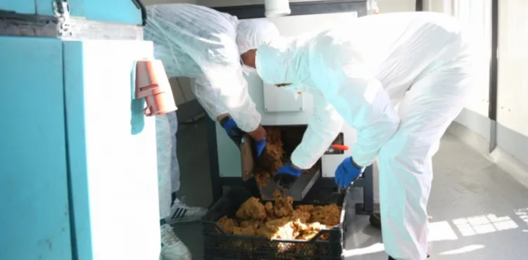 MELİKGAZİ'DE SIFIR ATIK İLE YEMEK ATIKLARI CAN DOSTLAR İÇİN MAMAYA DÖNÜŞÜYOR