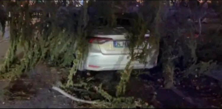 Kayseri’de şiddetli rüzgar ağacı otomobilin üzerine devirdi