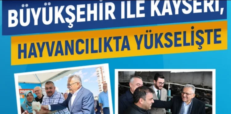 BÜYÜKŞEHİR İLE KAYSERİ, HAYVANCILIKTA YÜKSELİŞTE: KOYUN, ARI, MANDA, TAVUK…