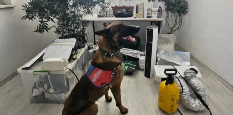 Kayseri’de 1 kişiye uyuşturucuya gözaltısı