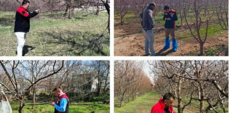 Tarım ve Orman İl Müdürlüğü’nden ‘zirai don’ açıklaması