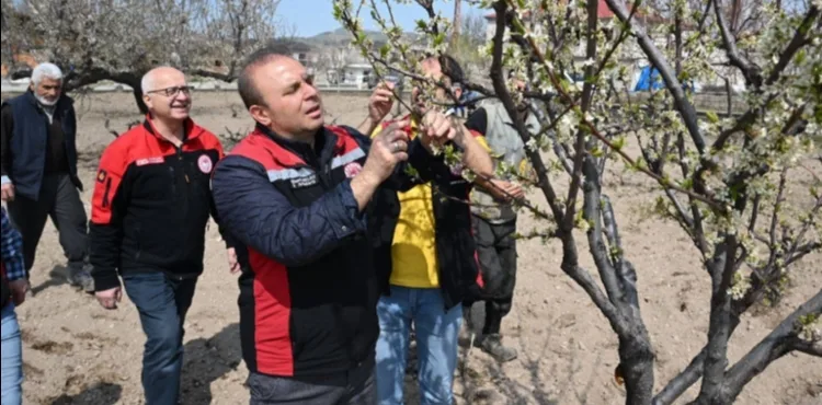 İl Müdürü Saklav’dan Hacılar’daki meyve ağaçlarında inceleme