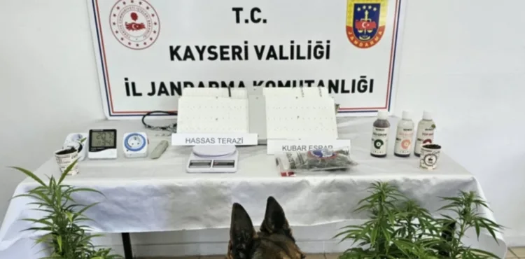 Kayseri’de 1 kişiye uyuşturucu gözaltısı