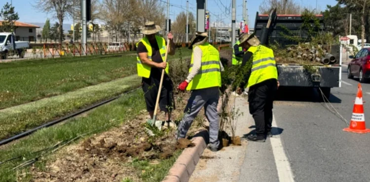 BÜYÜKŞEHİR’DEN RAYLI SİSTEM HATLARINDA DOĞA DOSTU DÜZENLEME