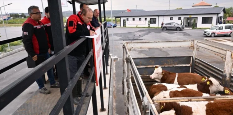 Kurban Bayramı Öncesi Hayvan Sevklerine Sıkı Denetim
