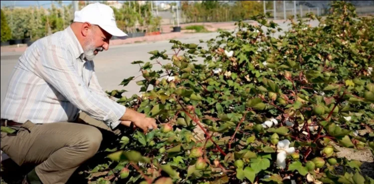KAYSERİ’NİN YEŞİL GELECEĞİ, KOCASİNAN’DA HAYAT BULUYOR