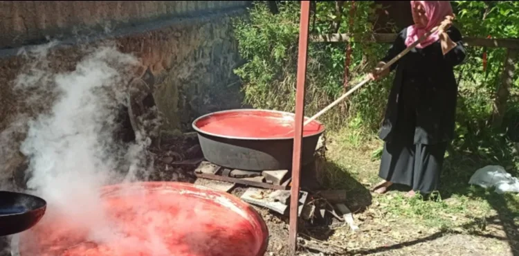 YAHYALI’DA KADINLAR KIŞLIK SALÇA İÇİN İMECE GELENEĞİNİ YAŞATIYOR