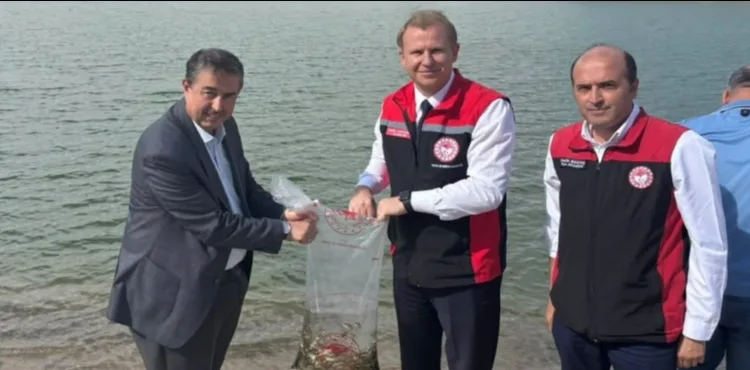 AKKÖY BARAJI’NA YAVRU SAZAN BALIKLARI BIRAKILDI