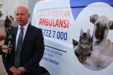 Kocasinann Kk Dostlar Ambulans Bin 252 Can Kurtard