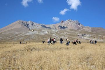 Erciyes'ten Toplanan Tohumlar Erciyes'e Ekiliyor