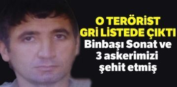 O terrist Gri listede kt, binba Sonat ve 3 askerimizi ehit etmi