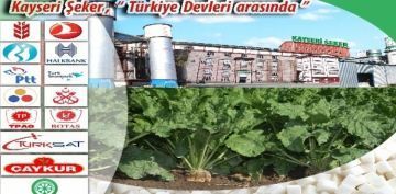 zelletirme daresi, Kayseri eker'deki hissesini Varlk Fonu'na devretti