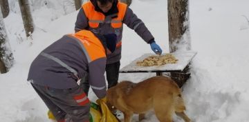 SOKAK HAYVANLARI UNUTULMADI