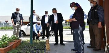 HOB BAHELER KRTERLERE UYULMASI ARTIYLA AILACAK