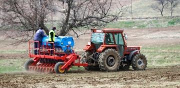 TALASTA ANIZA DREKT EKM MAKNES LE EKMLER BALADI