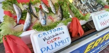 SEZONUN LK PALAMUTLARI TEZGAHLARDAK YERN ALDI