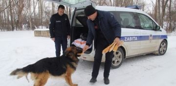 BNYAN BELEDYES ZABITA EKPLERMZ LEMZN SESSZ SAKNLERN KAR YAIINDA YALNIZ BIRAKMADI