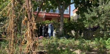 Ceviz aacndan den ahs hayatn kaybetti
