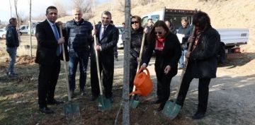 BYKEHRDEN ANLAMLI GNDE HATIRA ORMANI