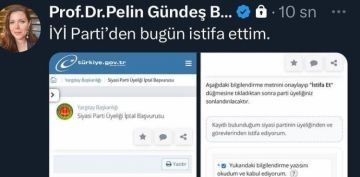 Pelin Gnde Bakr Y Partiden istifa etti