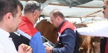  Vatandalarmzn salkl bir kurban kesmesi iin elimizden geleni yapacaz