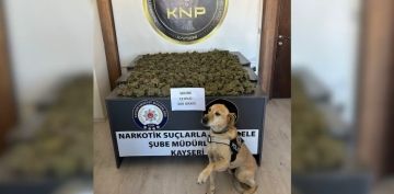 Uyuturucu operasyonu: 12 kilo 600 gram uyuturucu el geirildi