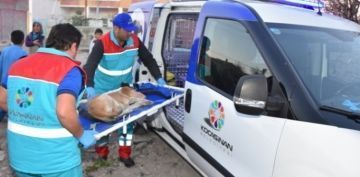 TRKYEDE LK OLAN KK DOSTLAR AMBULANSI LE 8 BN 753 CAN KURTARILDI