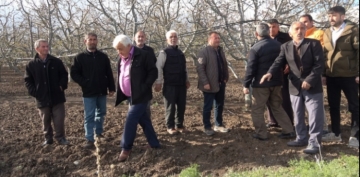 Kayseri Meyve aalarn 'zirai don' vurdu; elmada yzde 100 zarar, kays hi kalmad