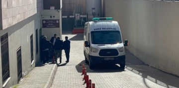 oban kpeklerinin saldrsnda ld