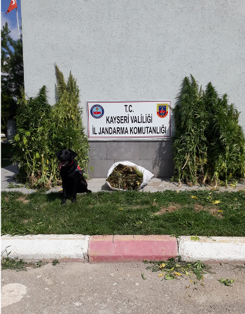 Jandarma Bayramda da Göz Açtırmadı!