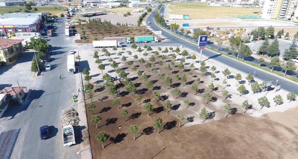 Melikgazi’de Çimlendirme Çalışması