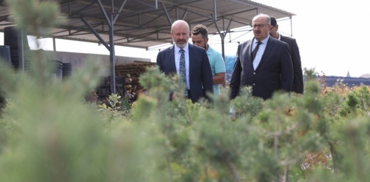 Kocasinan Yeşilleniyor, Kayseri Güzelleşiyor