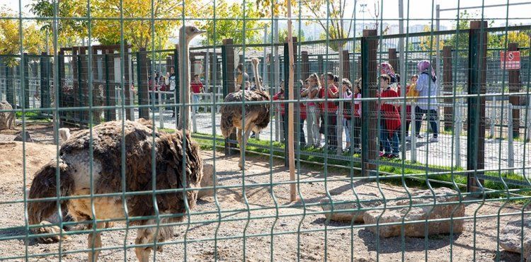 Hayvanat Bahçesi'nde Mutlu Anlar Yaşandı