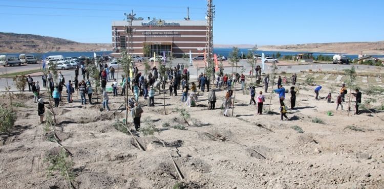 Kocasinan’da Yeşil ile Mavinin Ahengi