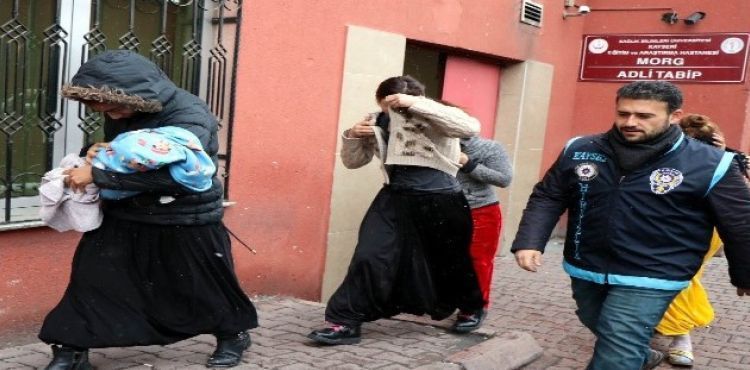 Ev fareleri yakalandı