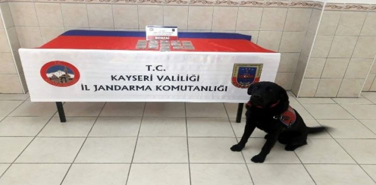 Jandarmadan uyuşturucu operasyonu