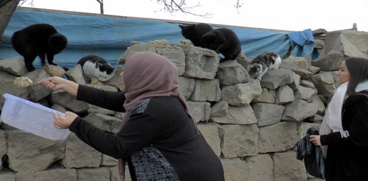 Ana kız sokak hayvanlarına kol kanat gerdi