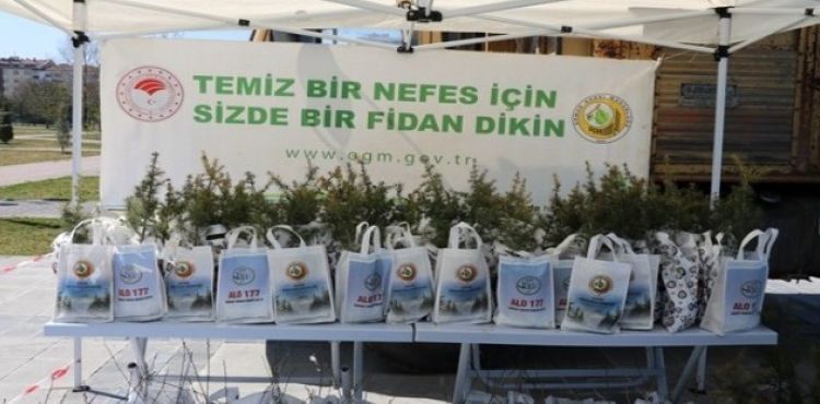 Kayseri Orman Bölge Müdürlüğü 10 Bin Fidan Dağıttı