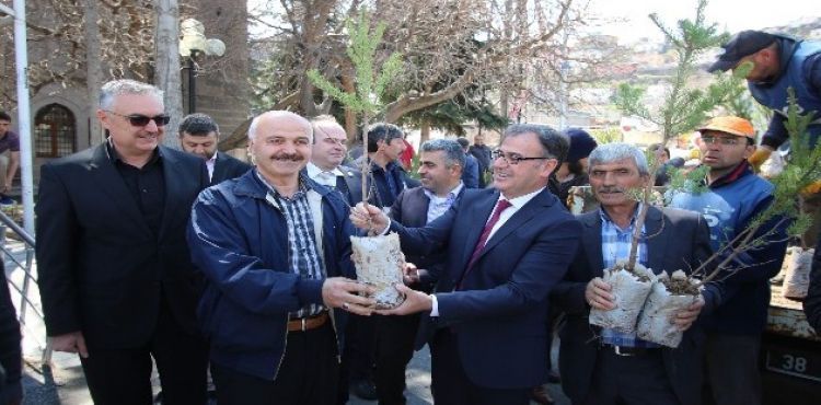 Hacılar'da yeşil bir çevre için 800 fidan dağıtıldı