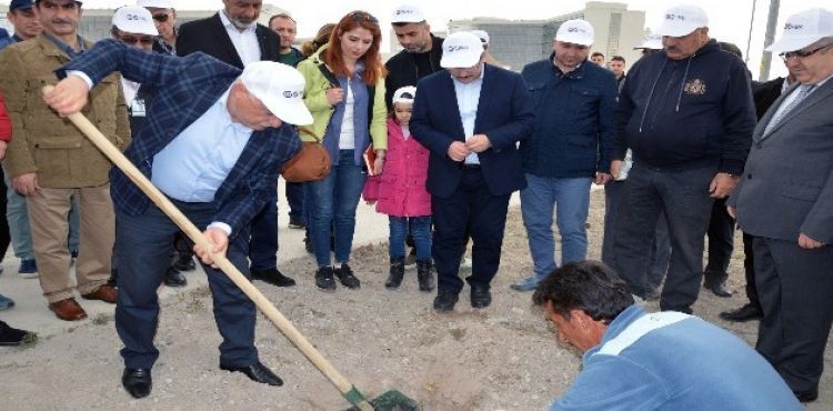 Bin 800 Fidan Kayseri Şehir Hastanesi Yüksek Güvenlikli Adli Psikiyatri Hastane Kampüsünde Toprakla Buluştu