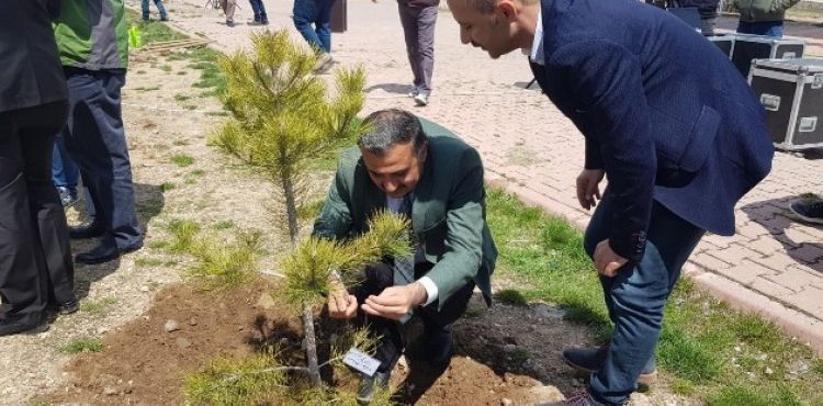Develi'de Ağaç Dikme Etkinliği Düzenlendi