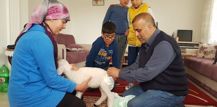 Kuzuyla alışverişe gidiyor, çocuk bezi bağlıyor