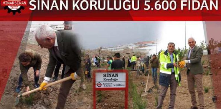 Mimarsinan OSB içinde oluşturulan 14.ağaçlandırılmanın adı Sinan Koruluğu oldu.