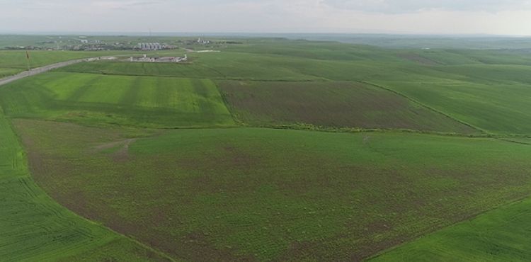 Son aylarda etkili olan aşırı yağışlar Diyarbakır ve çevresindeki çiftçileri olumsuz etkiledi.