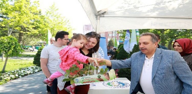 Talas'ta Minik Eller Fideyle Buluştu
