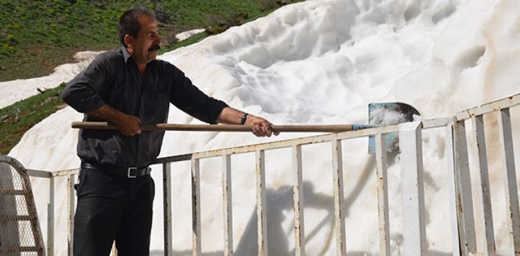 Dağlardan topladıkları karları ilçede sattılar