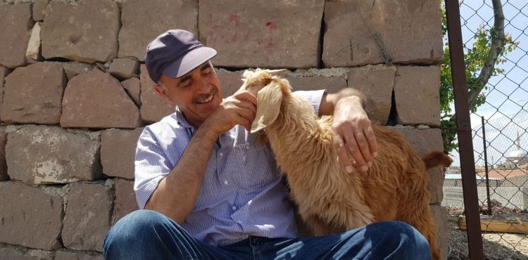 Torununa hediye gelen keçilere çocuğu gibi bakıyor