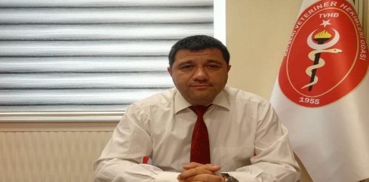 Evlerde ve sokaklarda görülen yılanlar günlerdir vatandaşları huzursuz ediyor
