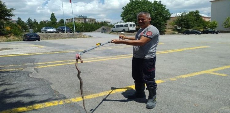 Bodruma giren yılan itfaiye ekiplerince çıkarıldı